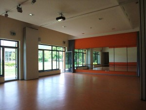Großer Saal (80 m²)